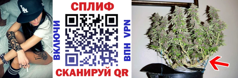 купить наркоту  Скопин  Конопля конопля 